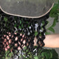 Water Wave Frontal